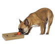 DOG TOY- ”Genius” intelligence rectangular toy for dogs
